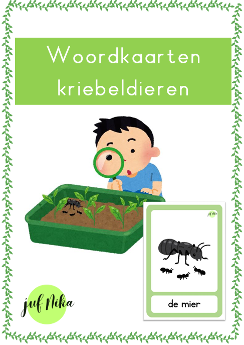 Woordkaarten thema Kriebeldieren