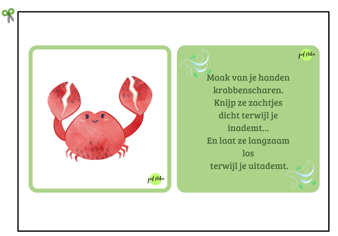 Ademhalingskaarten - Afbeelding 3