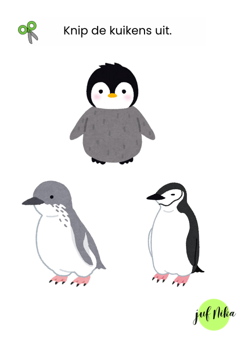 Pinguïn kuiken-match - Afbeelding 3