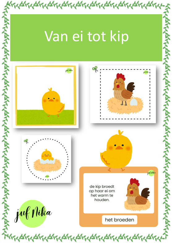 Van ei tot kip