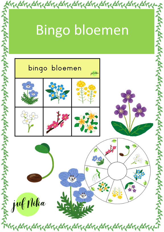 Bingo de lente
